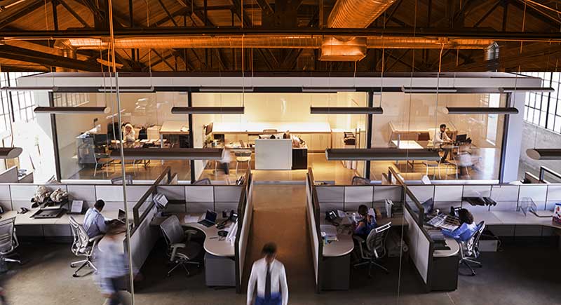 Profiles Database office